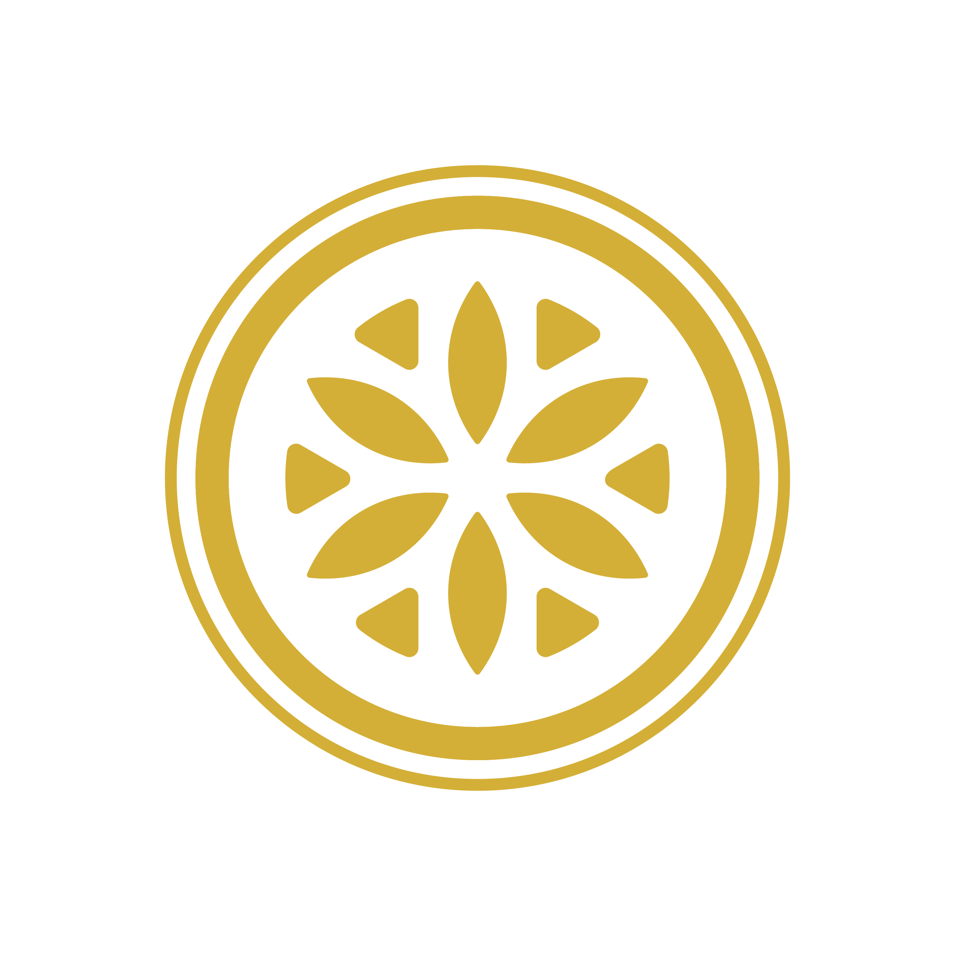 DSlogo